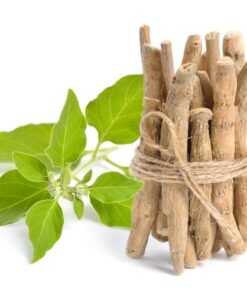 Viên nhộng sâm linh dược bách niên Savi Nirvana